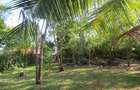 Land at Off Diani Beach Rd - 8