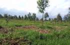 Land at Riara Ridge - 4