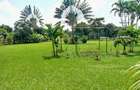 5 Bed House with En Suite in Kitisuru - 20