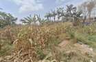 0.62 ac Land at Runda - 4