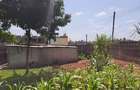 0.25 ac Commercial Property with Fibre Internet at Karura Kagongo Ruaka - 9