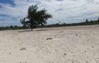 6 ac Residential Land at Jacaranda Watamu - 3