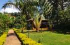 5 Bed House with En Suite at Nyari - 13