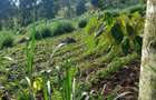2.5 ac Land at Village (Mbiriri Muthaiga) - 11