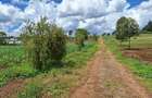 1 ac Residential Land at Tigoni - 10