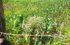 1.0 ac Land at Kandara Road - 14