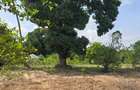 6 ac Land at Mtwapa - 4