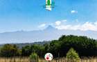 0.040 ha Residential Land in Nanyuki - 12