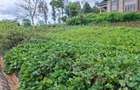0.25 ac Land in Runda - 2
