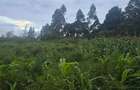 1 ac Land at Gicharani - 14