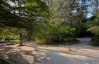 Commercial Land in Diani - 9