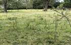 1 ac Residential Land in Karen - 6