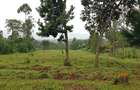 Residential Land at Mokoyot Close - 13