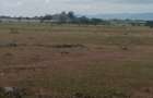 Land at Tala- Nguluni - 5