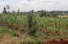 0.125 ac Residential Land at Riverside Drive - 7