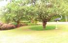 4 Bed House with En Suite at Runda Groove - 13