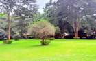4.1 ac Land in Rosslyn - 10