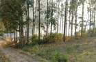 0.0113 ac Residential Land in Ngong - 6