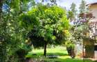 2 Bed House with En Suite in Muthaiga - 18
