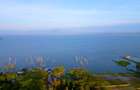 Residential Land in Naivasha - 3