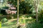 5 Bed House at Rosslyn Lone Tree - 8