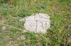 Land in Naivasha - 3