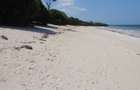Land at Diani - 20