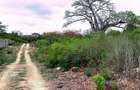 10 ac Land at Kuruwitu Vipingo - 12