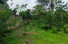 8 ac Land at Vipingo - 3