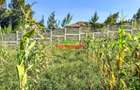 0.1 ha Residential Land at Muguga - 3