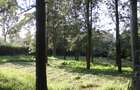 0.6 ha Land at Magadi Road - 10