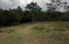 1 ac Land in Karen - 2