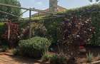 4 Bed Townhouse with En Suite in Kiambu Road - 3