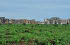 5 ac Land at Vipingo - 2