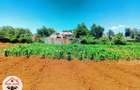 1 ac Residential Land at Thogoto - 4