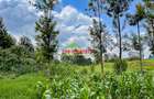 7.5 ac Land in Kikuyu Town - 11