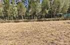 0.5 ac Residential Land in Karen - 1