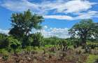 1 ac Land at Vipingo - 10