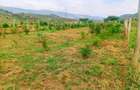 500 m² Residential Land at Ndiuni - 2