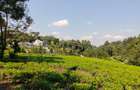 0.75 ac Land at Riara Ridge Area - 3