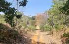 1 ac Land at Mtwapa Creekside - 17