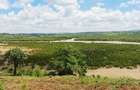 Land at Mtwapa Mtepeni - 13