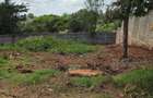 0.5 ac Land in Thome - 3