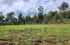 50 ac Land in Lower Kabete - 6