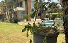 4 Bed Villa with En Suite in Kiambu Road - 3