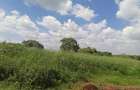 25 ac Land at Off Paradise Lost Road - 1