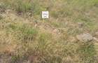 0.125 ac Land at Juja Farm - 13