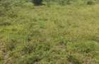 Land in Kitengela - 7