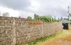 0.05 ha Residential Land at Gikambura - 11