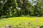 Land at Mtwapa - 8